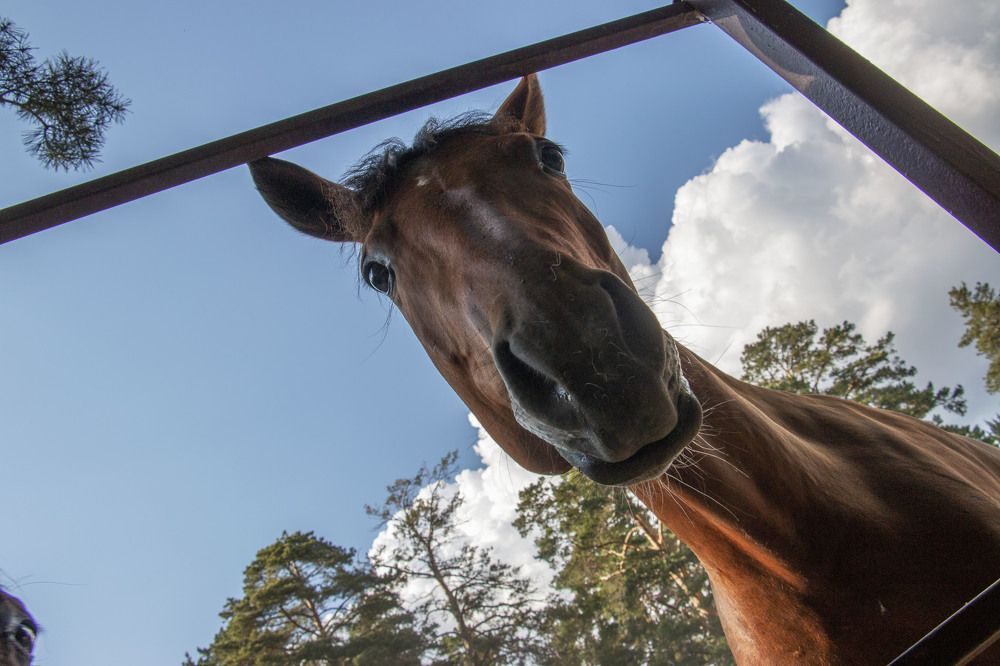 Photograph by Татьяна Ярмак