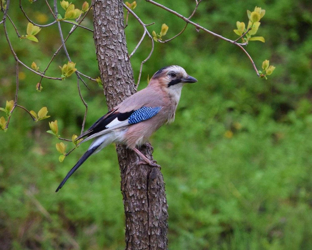 Photograph by Андрей Никонов