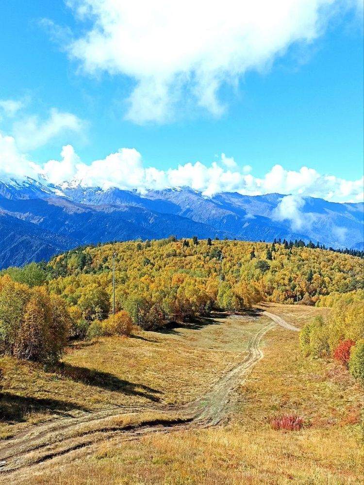 Фотография автора Natalya Firsova