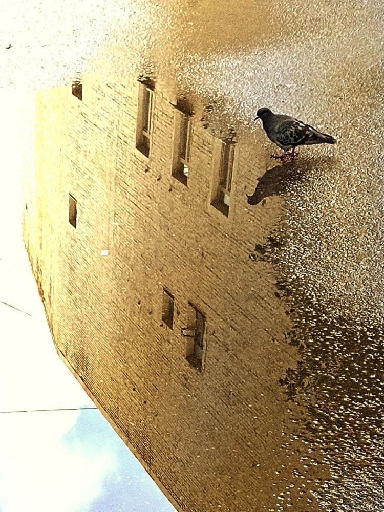 Фотография автора Natalya Firsova