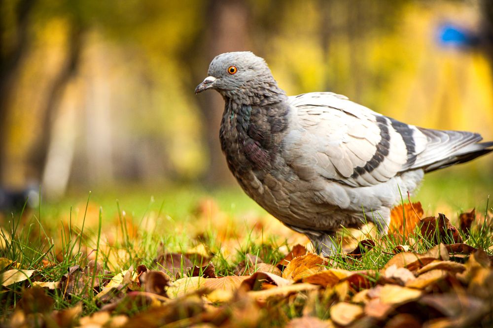 Photograph by Владимир Сушкин