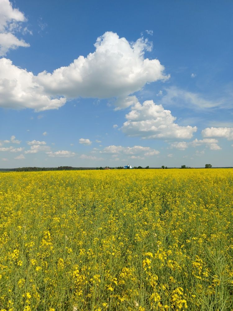 Photograph by ЭЛЬМИРА  ИСМАИЛОВА