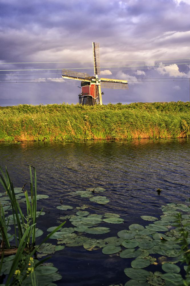 Photograph by Елена Евдокимова