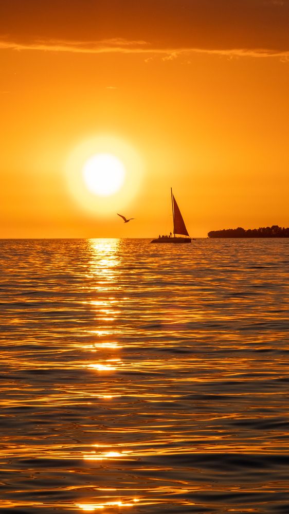 Photograph by Дулова Анастасия