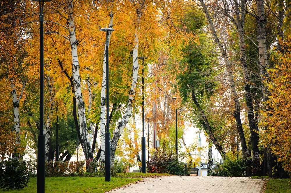 Photograph by Владимир Сушкин