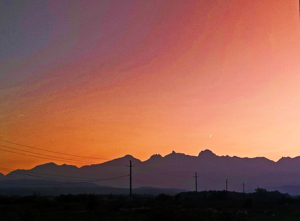 Photograph by Элеонора Цаллаева