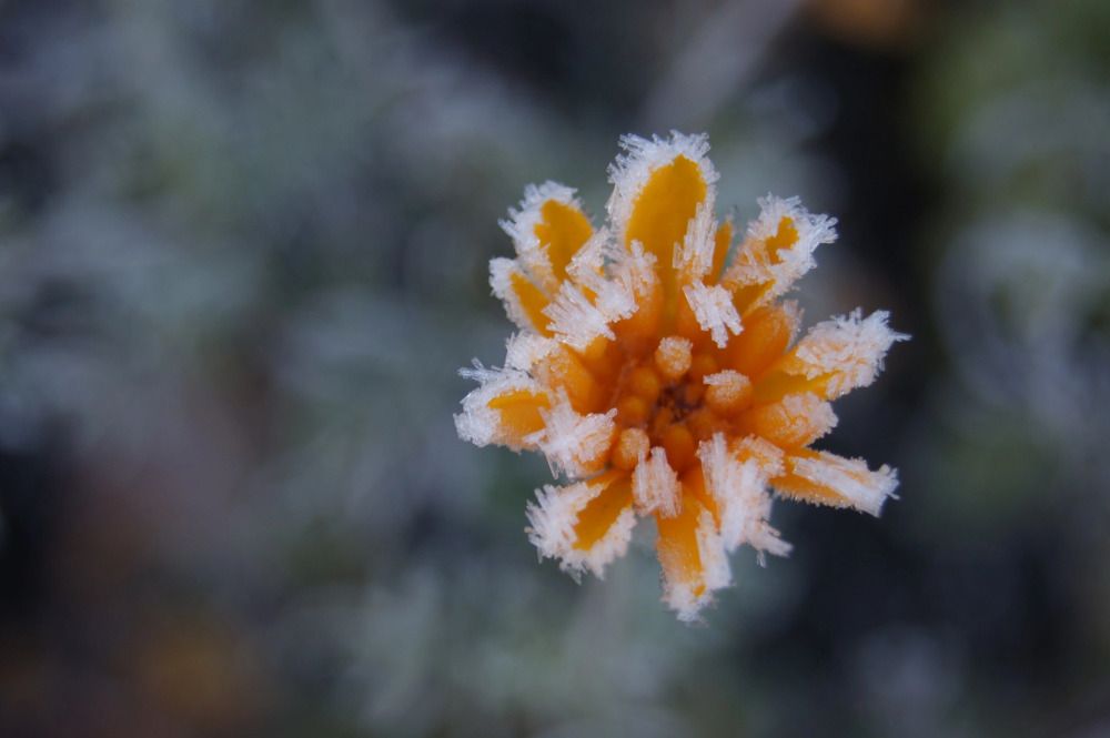 Photograph by Елена