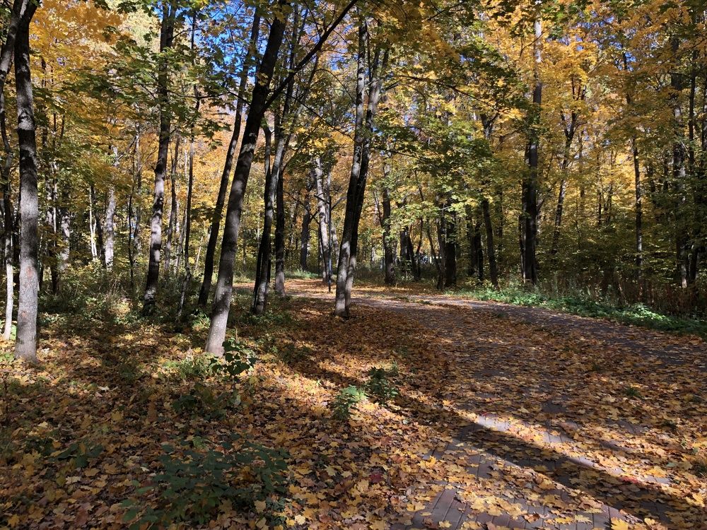 Photograph by Георгий Калякин