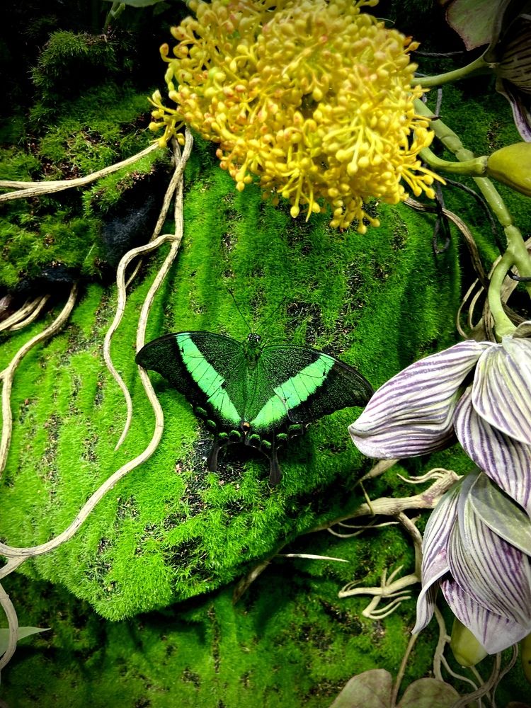 Photograph by Светлана Голикова