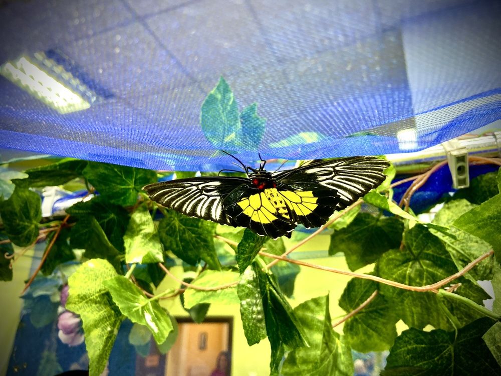 Photograph by Светлана Голикова