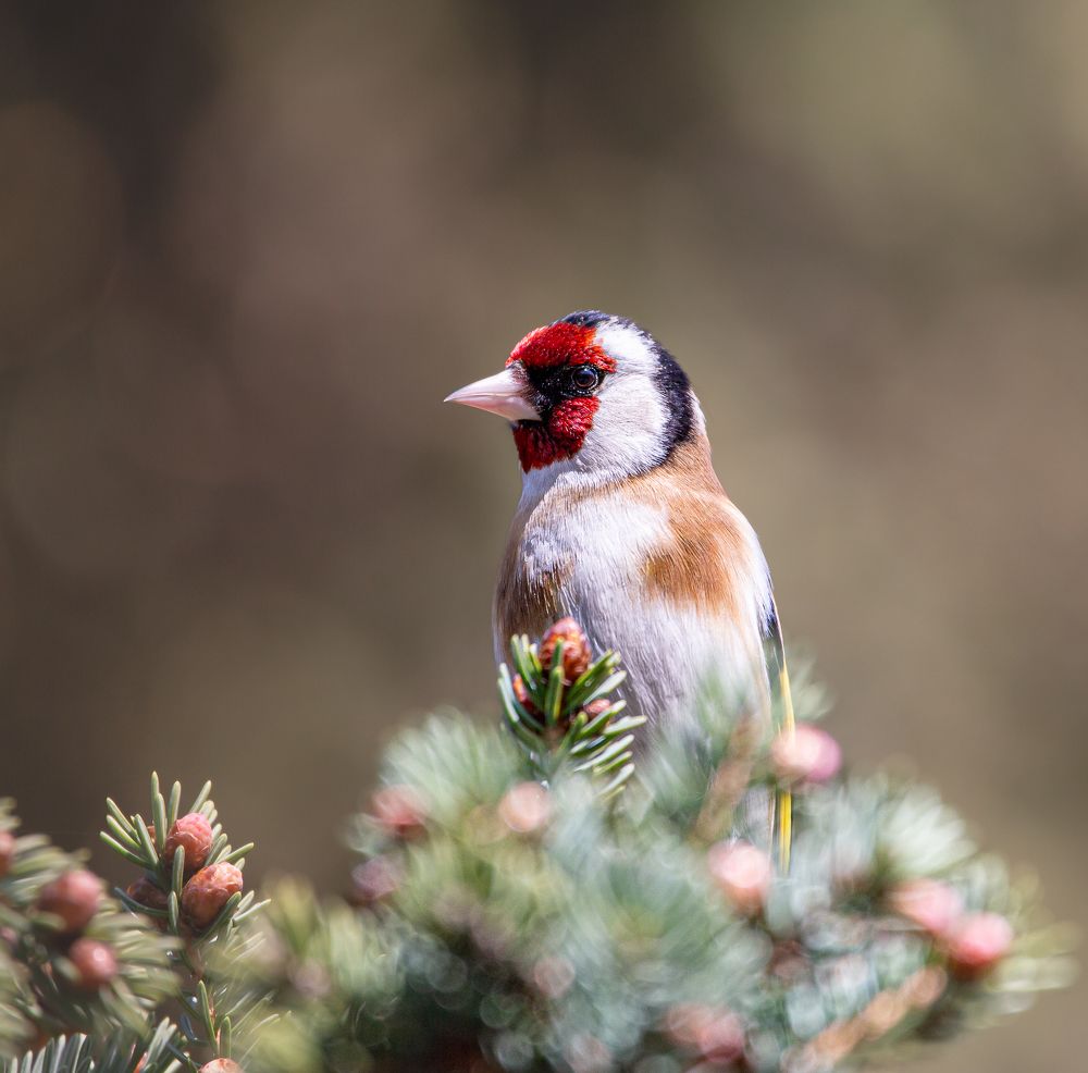 Photograph by Марина