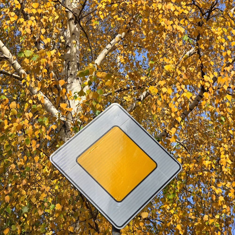 Photograph by Максим Фролов