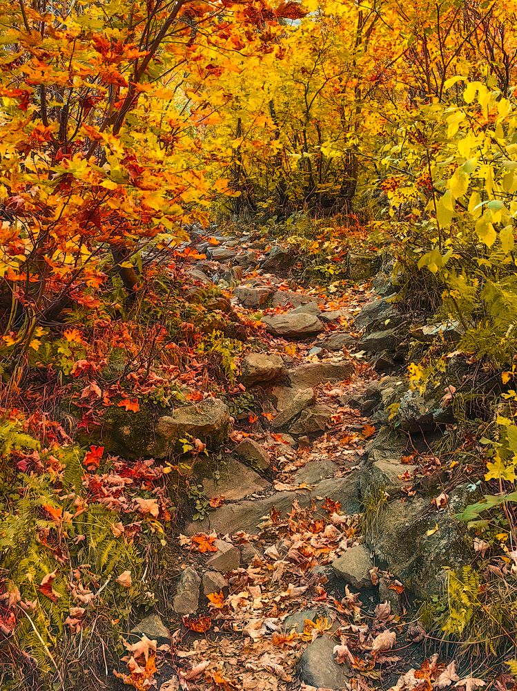 Photograph by Igor M.