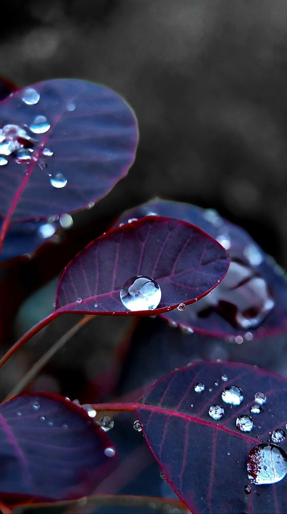 Photograph by Егор Жук