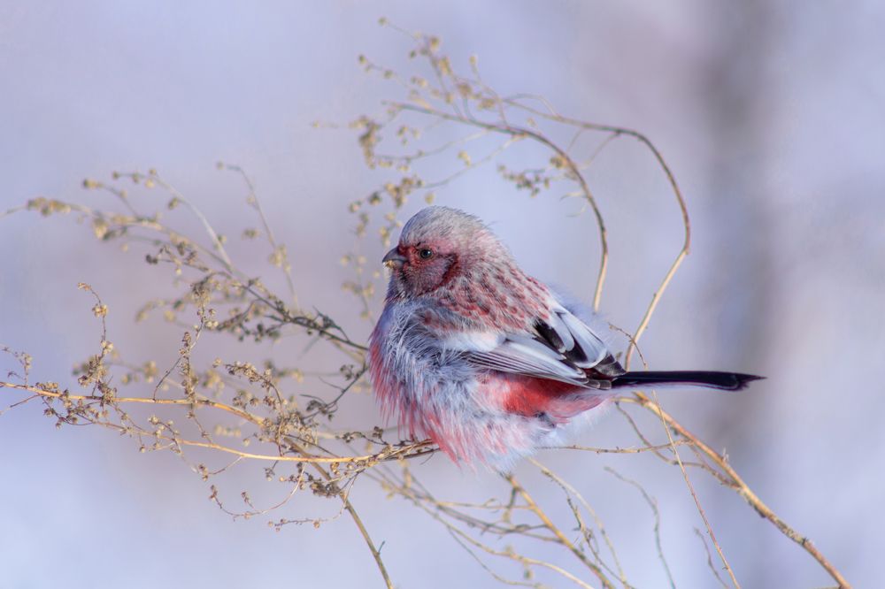 Photograph by Александр Канцур