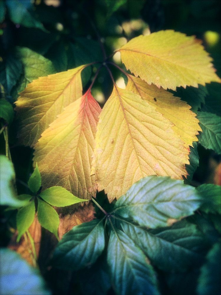 Photograph by Ирина Артюх