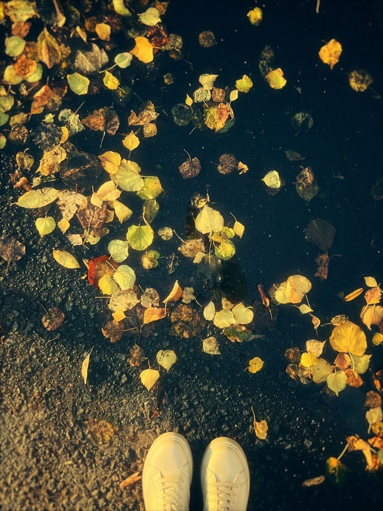 Photograph by Ирина Артюх