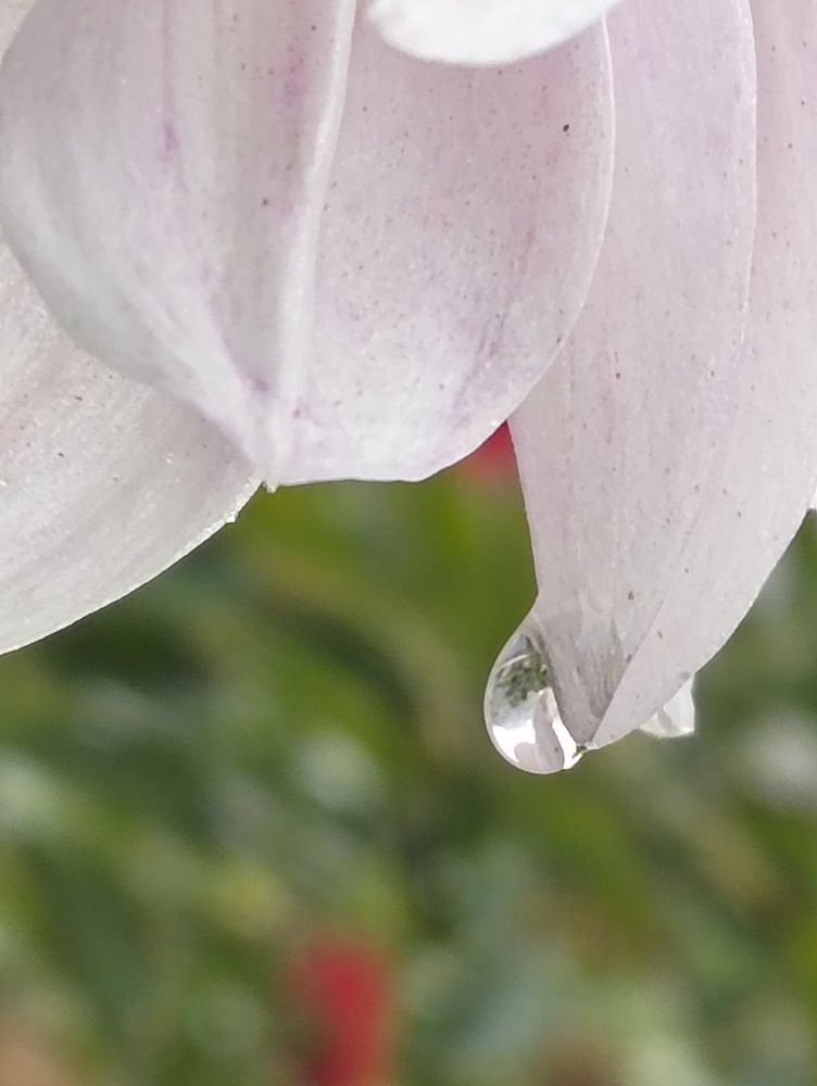 Photograph by Ishaq Karim