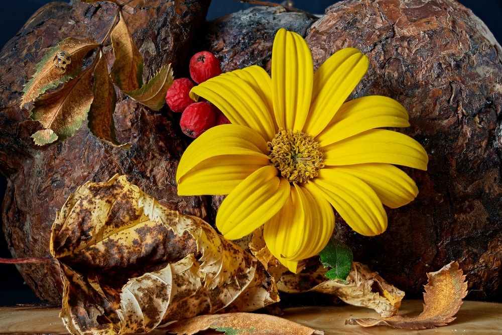 Photograph by Владимир