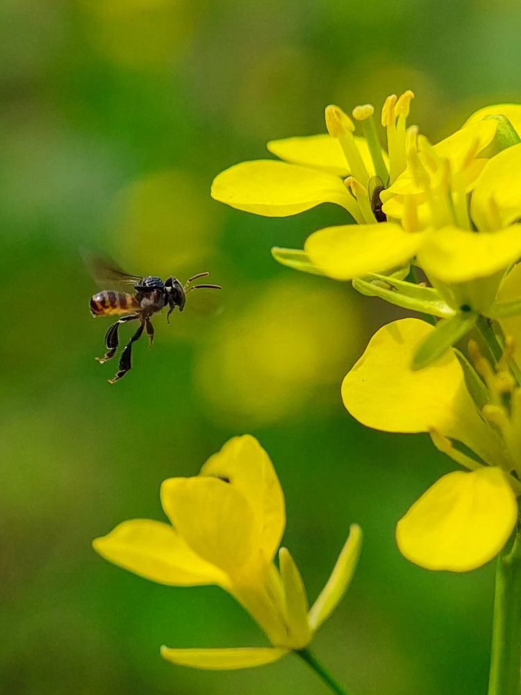 Photograph by Sourav pramanik