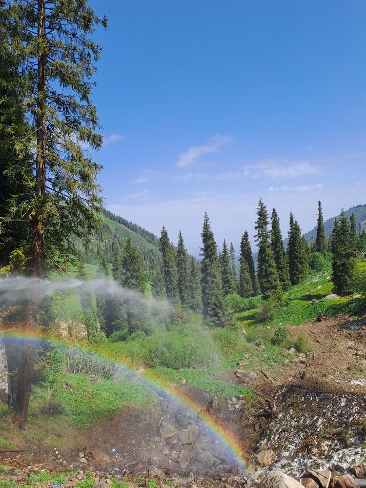 Photograph by Алексей Зиновьев