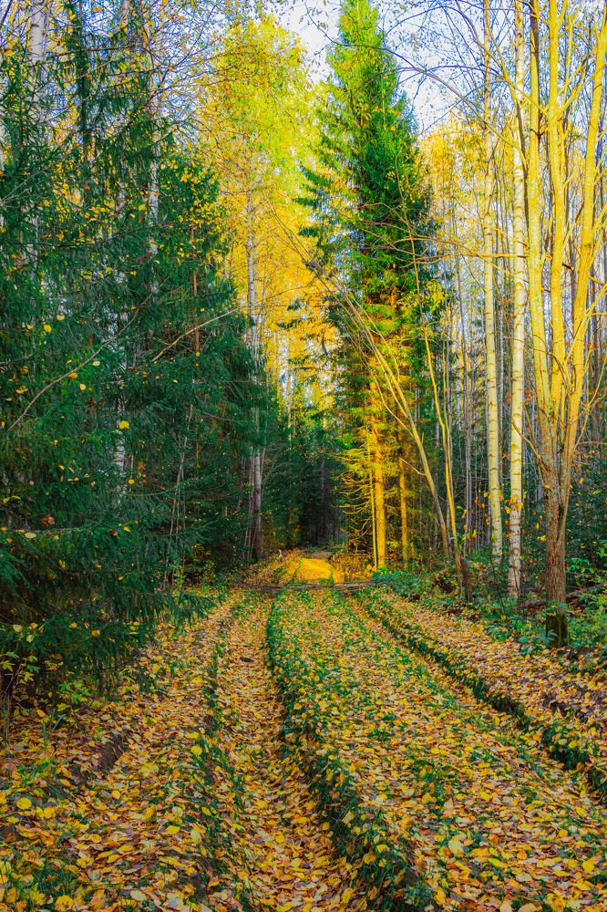 Photograph by Кокорин Алексей