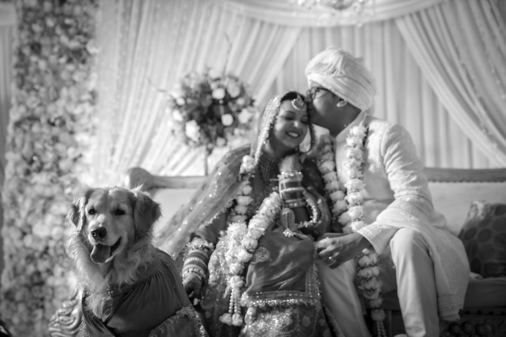 Фотография автора Irfan Abbas