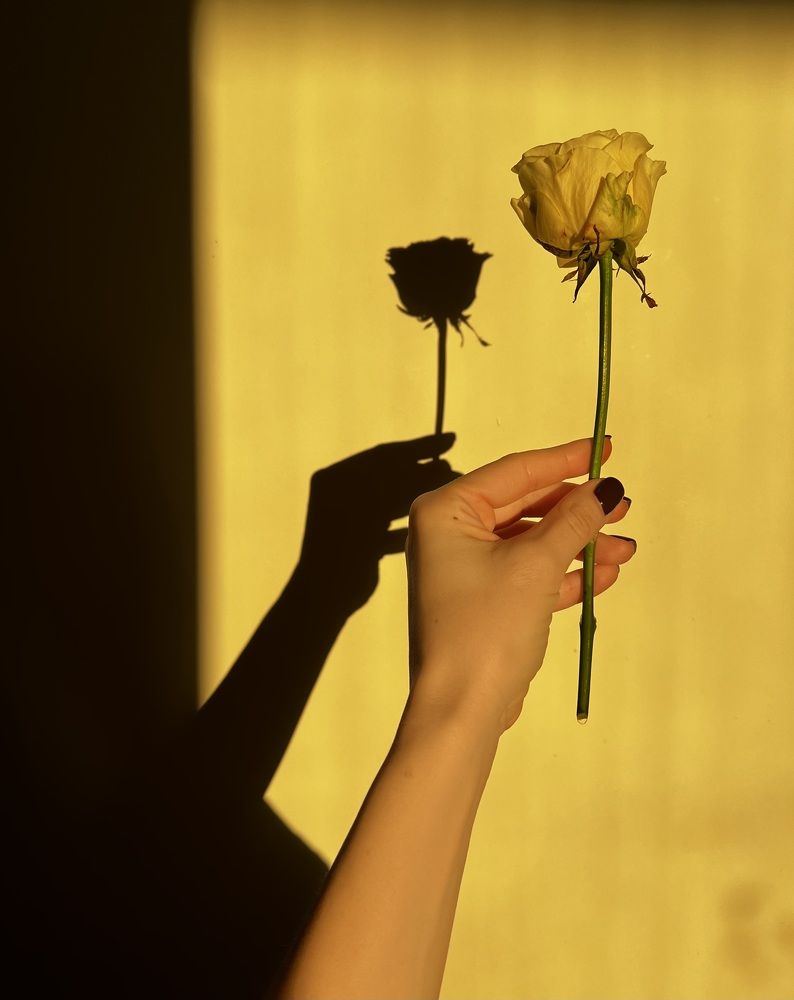 Photograph by Оксана
