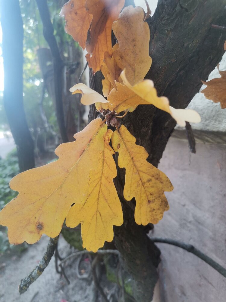Photograph by Мария Клабукова