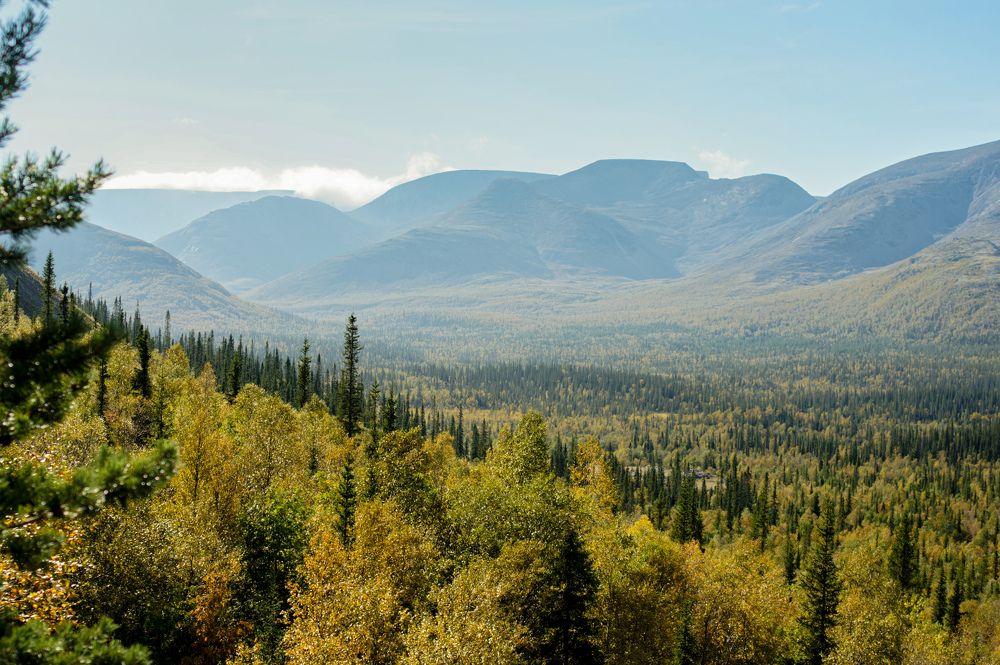 Photograph by Карина Заводчикова