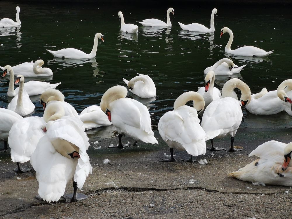 Photograph by Елена Акимова