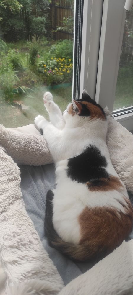 Фотография автора Наталья Сероглазова