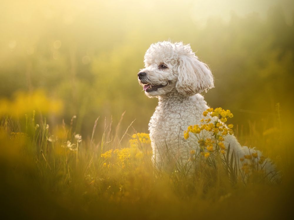 Photograph by Dorota Hnatová