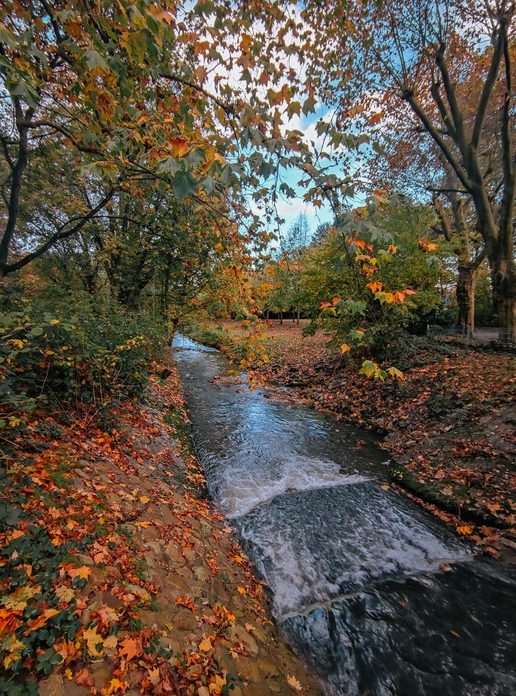 Photograph by Екатерина Карпова