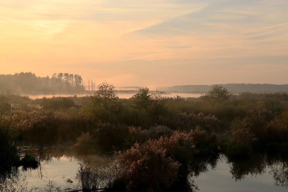 Розовый рассвет