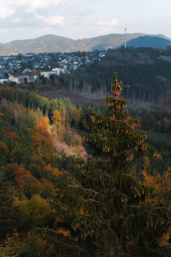 Photograph by Екатерина Карпова