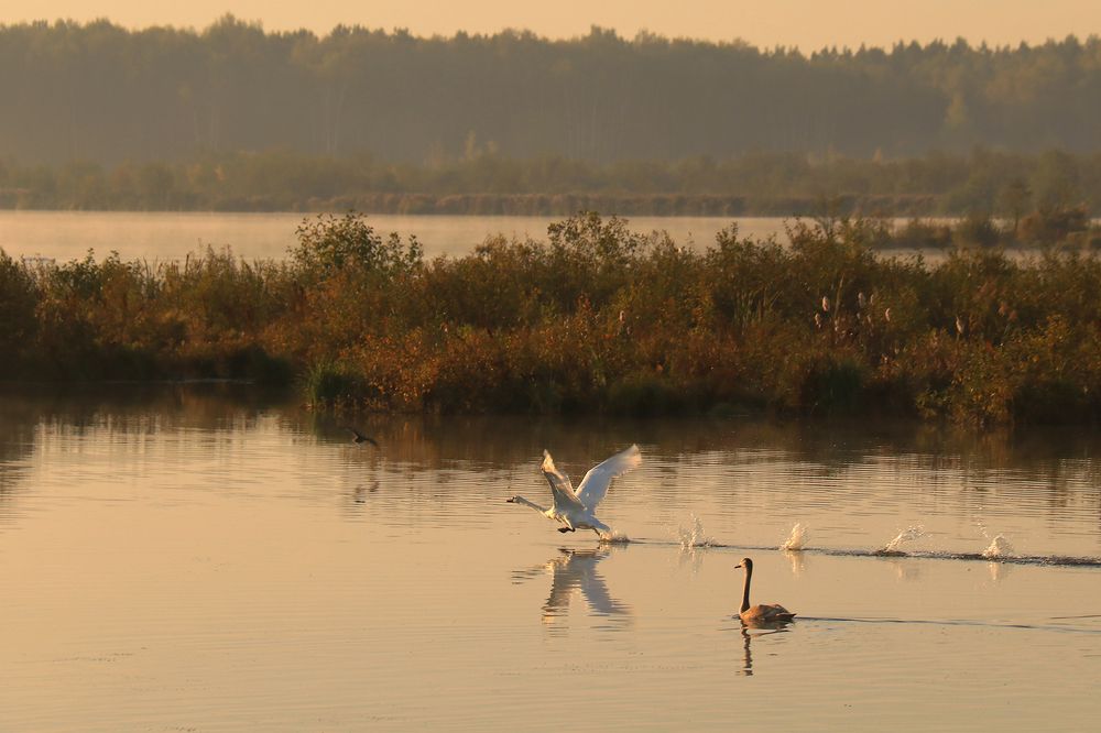 Утренний полёт