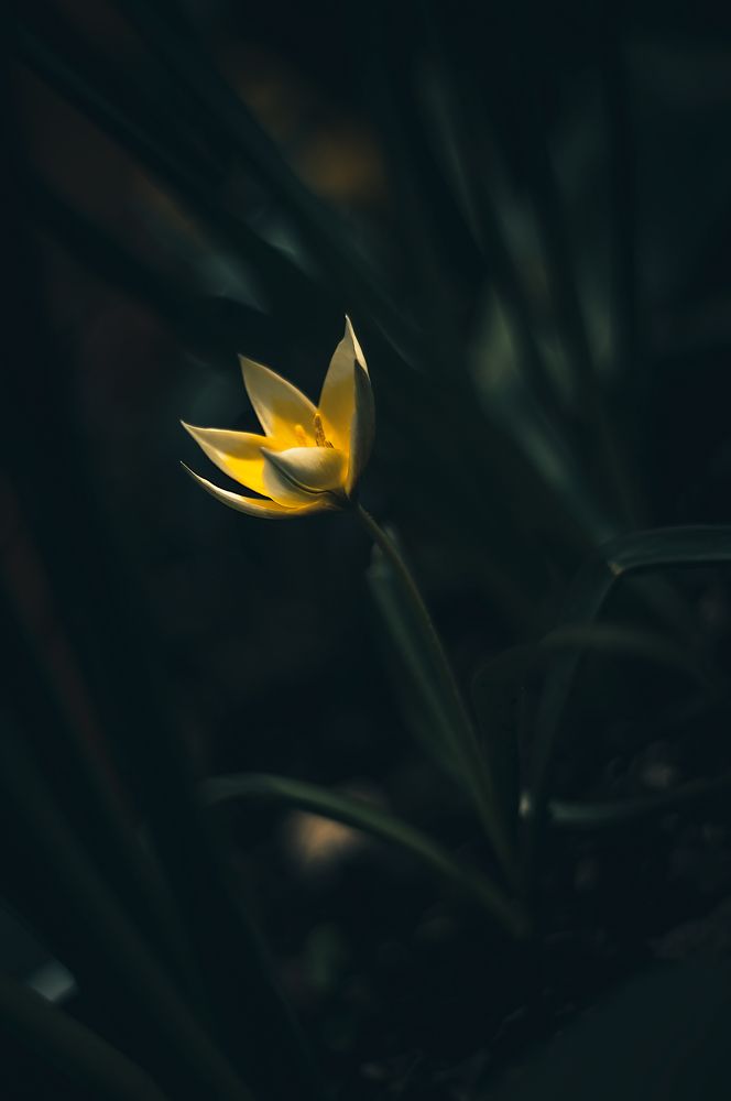 Photograph by Тараненко Анжелика