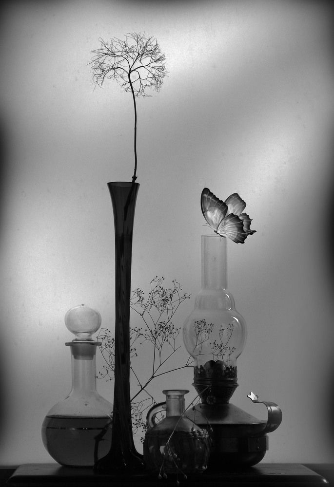 Photograph by Александр Зарх