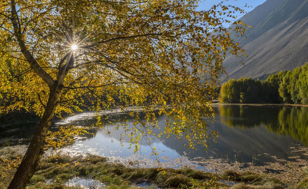 Фотография автора Шипунова Ирина