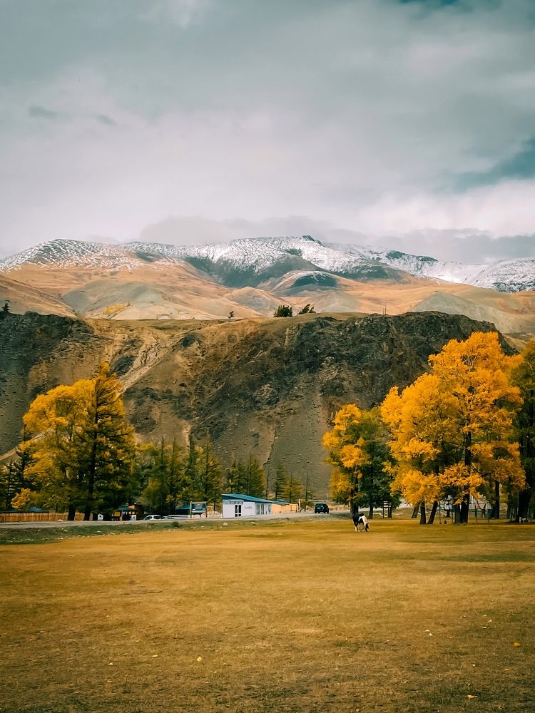 Photograph by Дарья Андреева