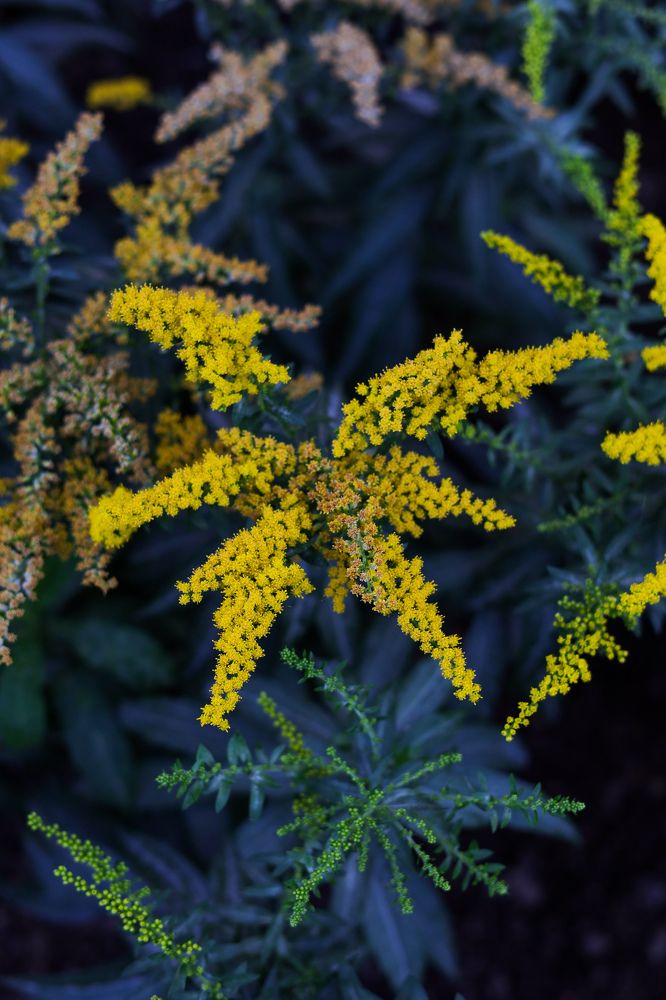 Photograph by Наталия Трофимова