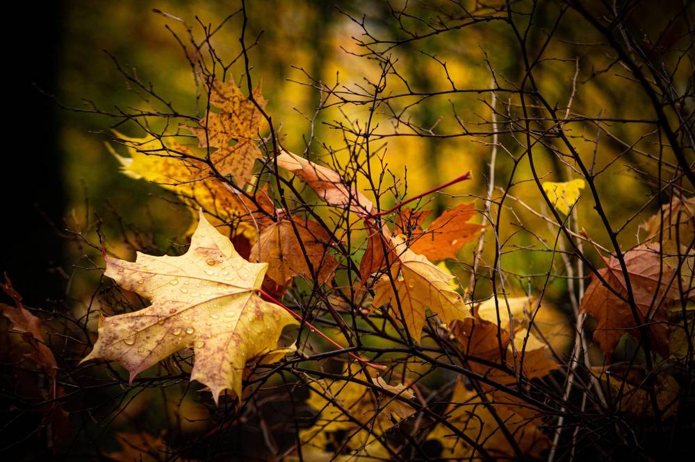 Photograph by Наталия Трофимова