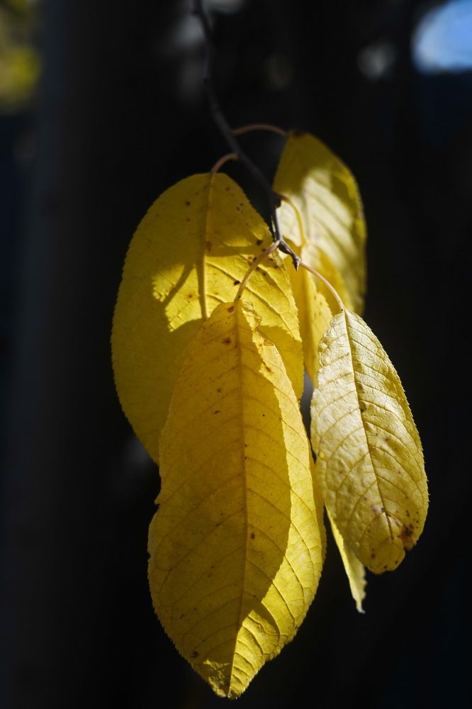 Photograph by Анастасия Сахаревич