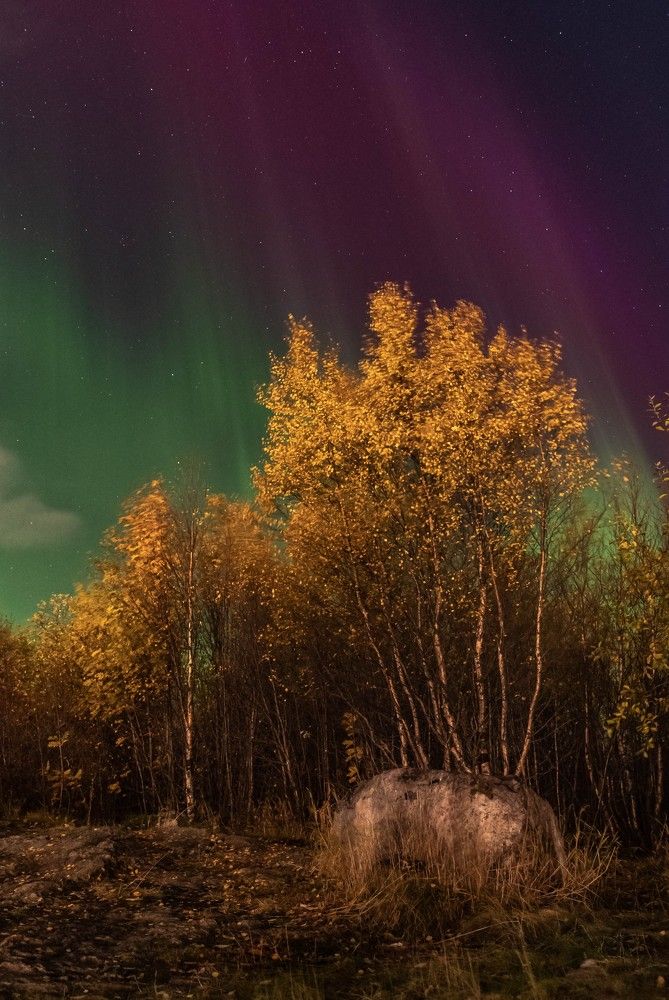 Осенний светофор Заполярья