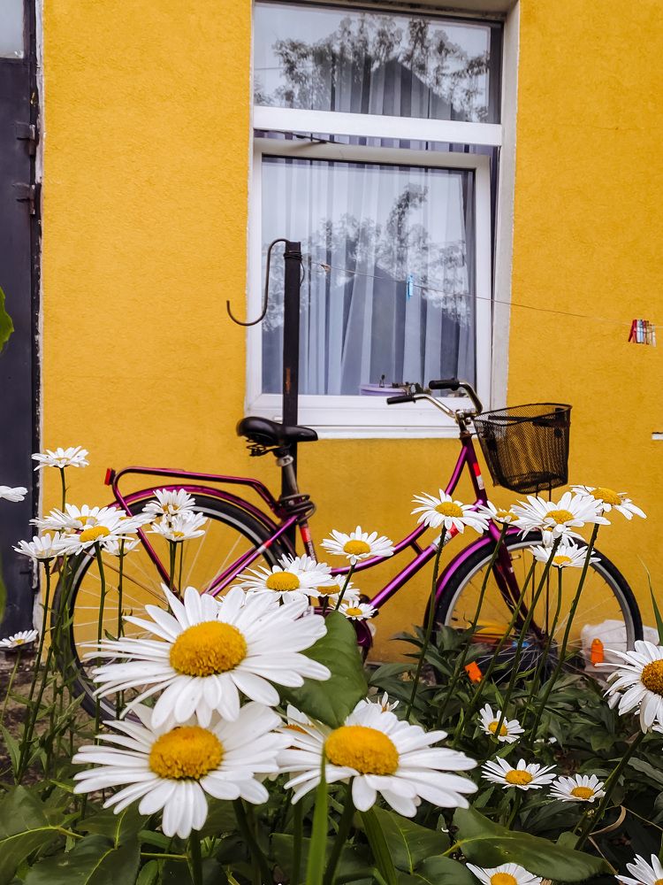 Photograph by Дарья Андреева