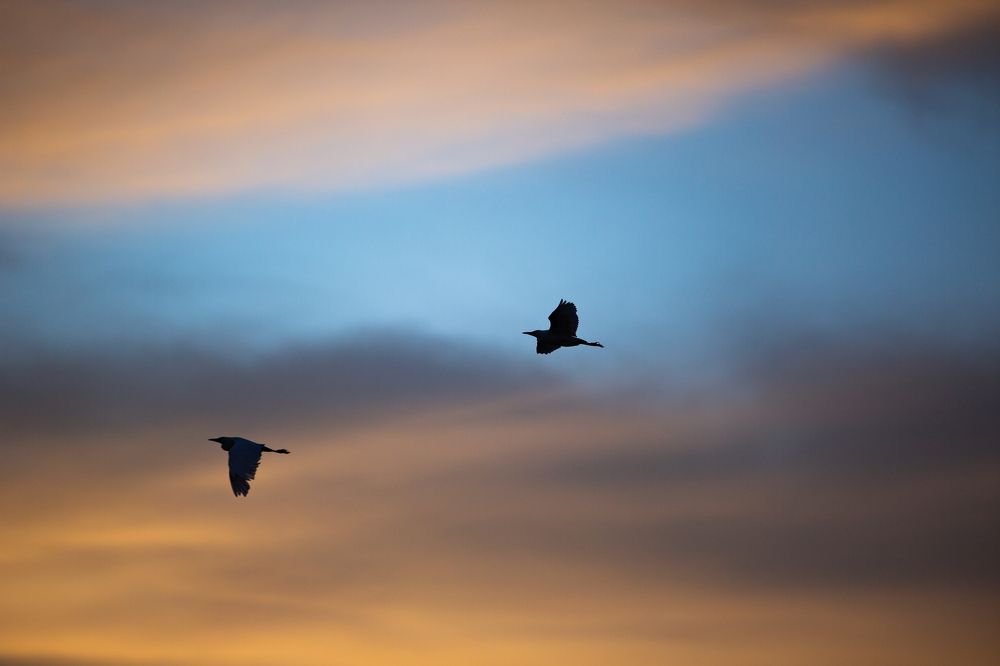 Photograph by Assal mouadh