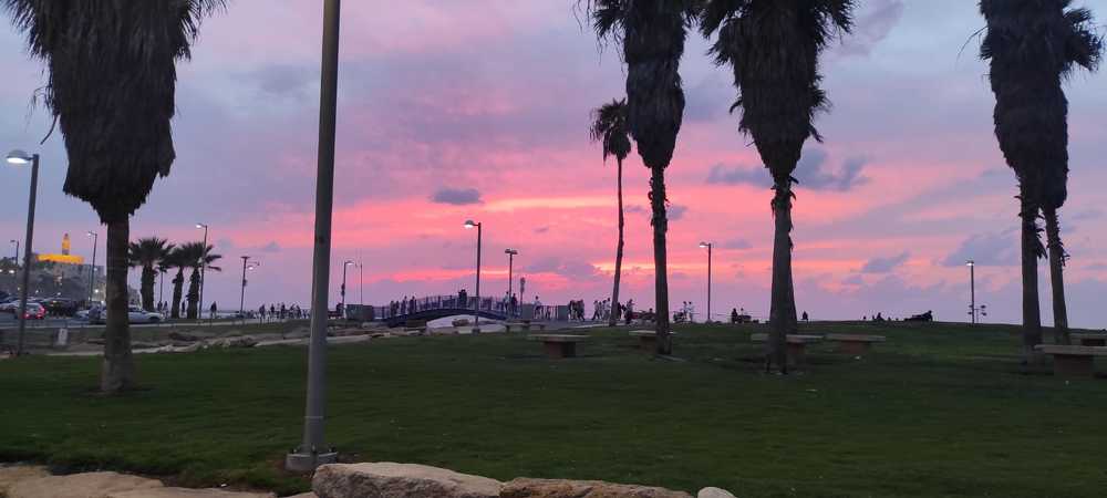 Земля Обетованная