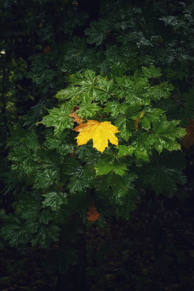 Photograph by Наталия Трофимова