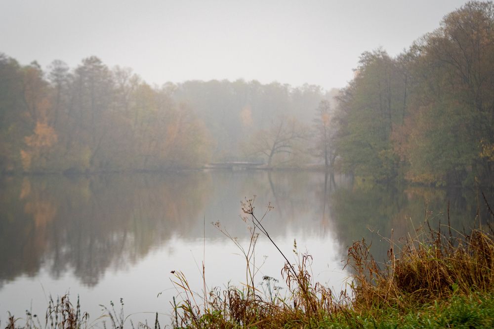 Photograph by Наталия Трофимова